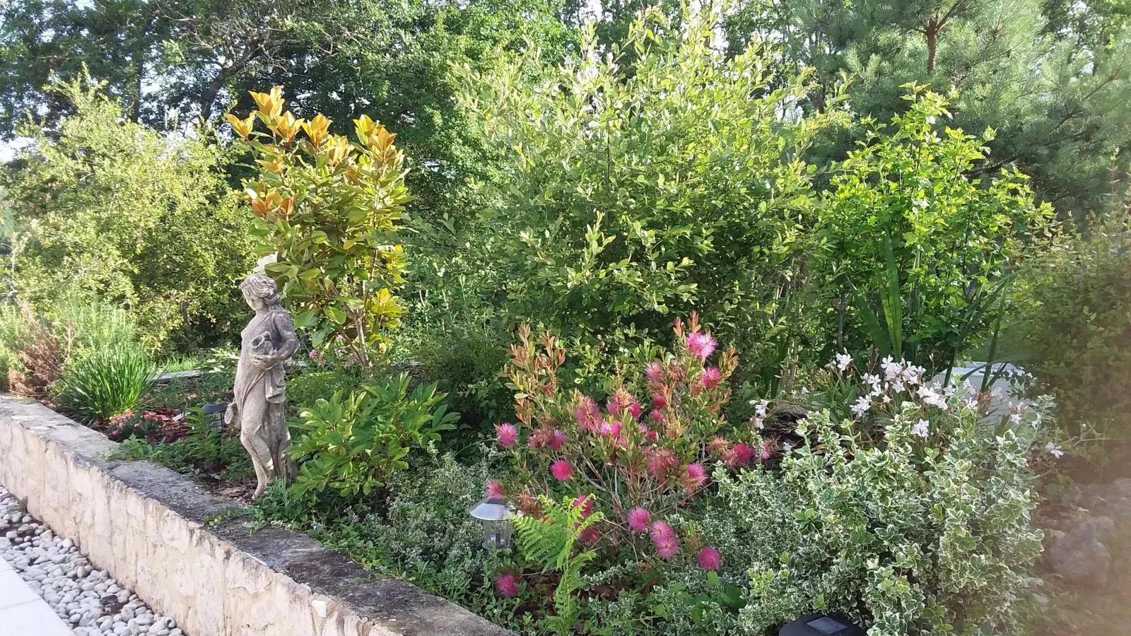 Villa Dorade-Gardens summer