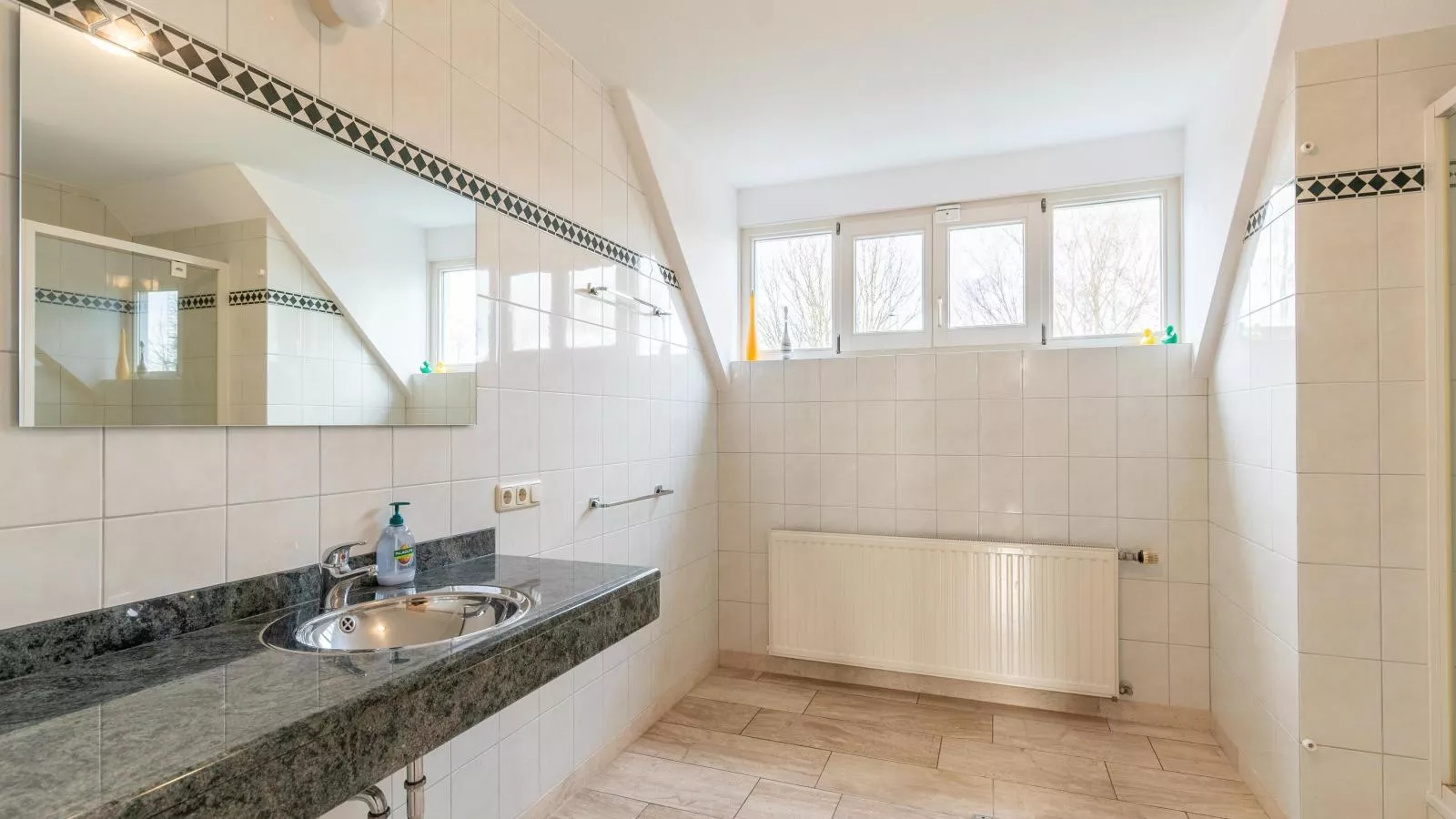 Lionshuis-Bathroom