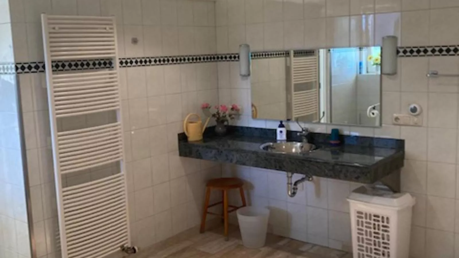 Lionshuis-Bathroom