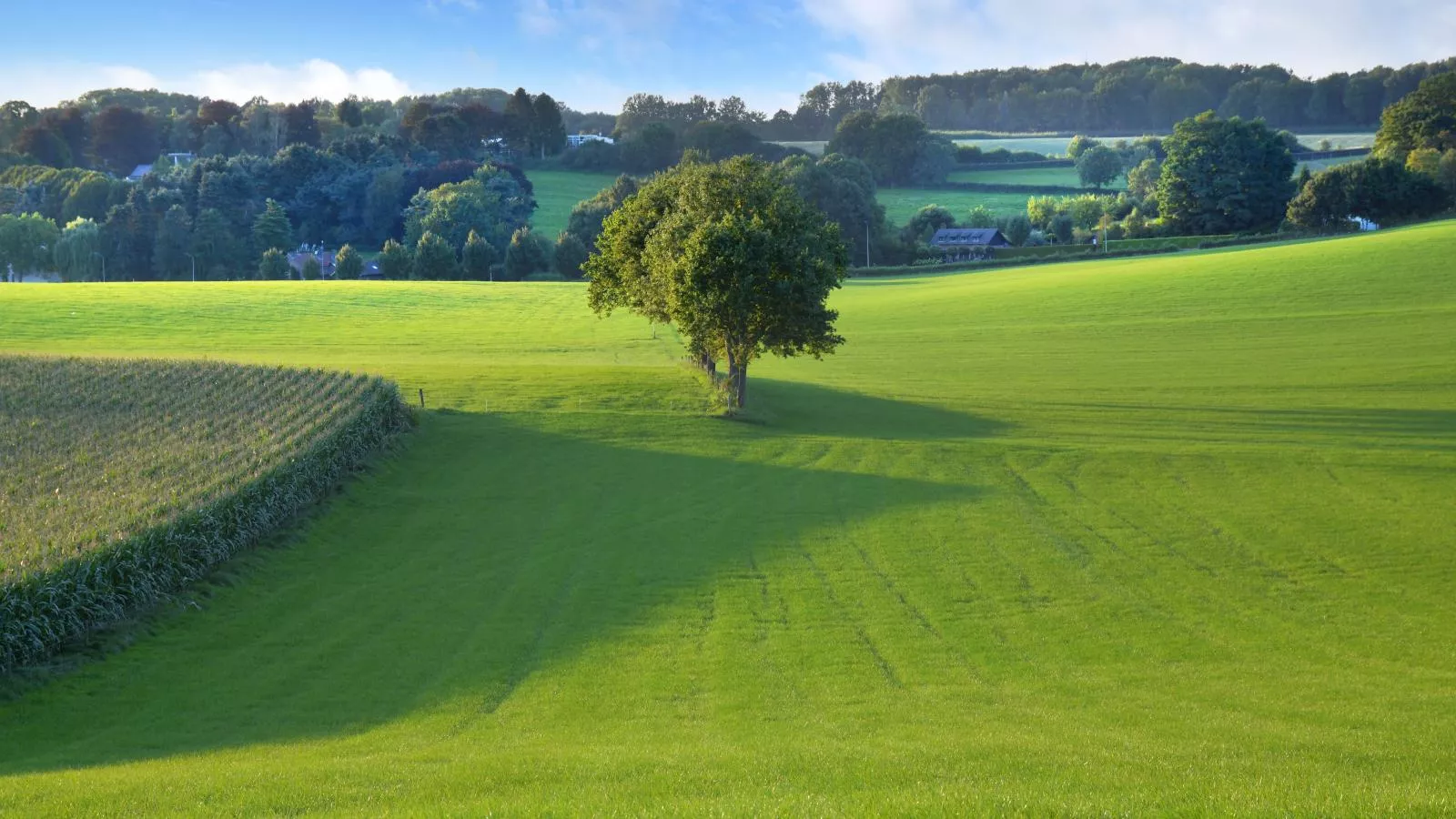 Heimerhöfkes-View summer