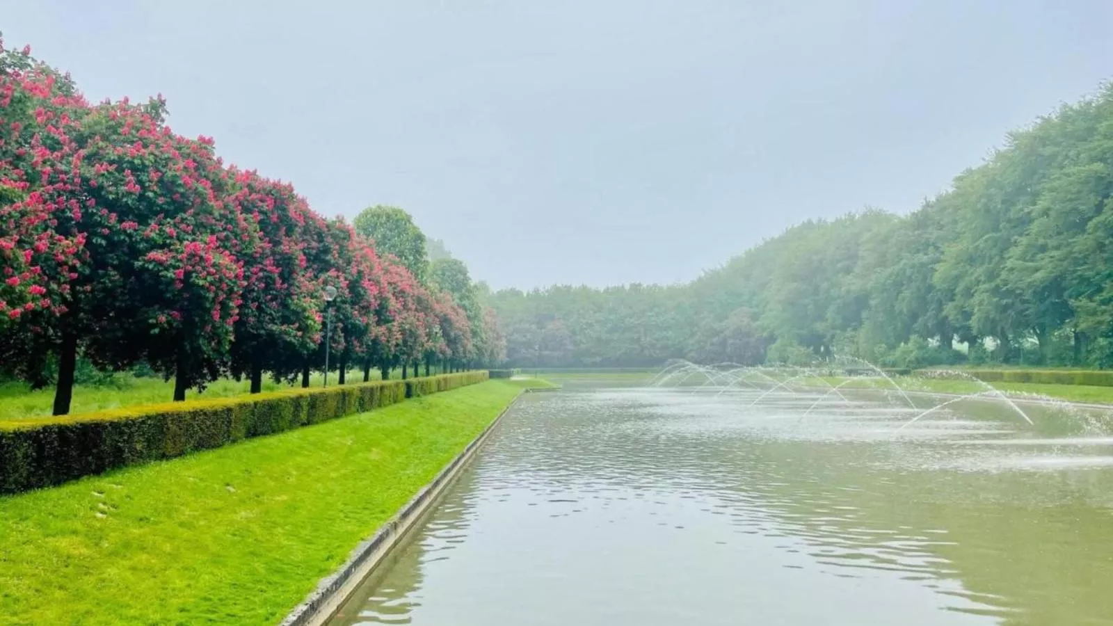 areasummer5km