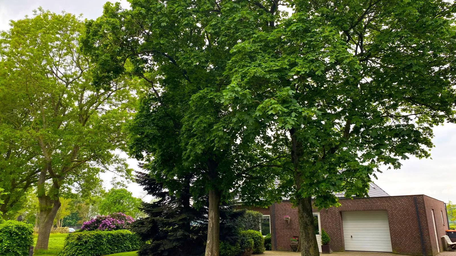 De Kolonie-Areas summer 1km