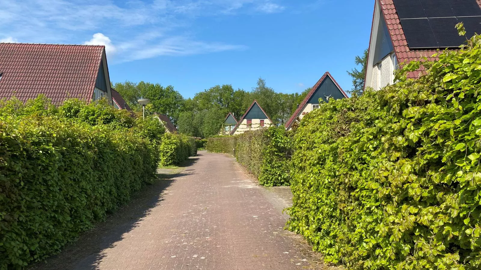 Landhuis 42-Areas summer 1km