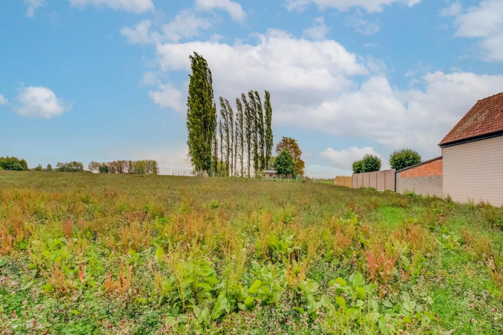 Sijpveld-Jardins en été