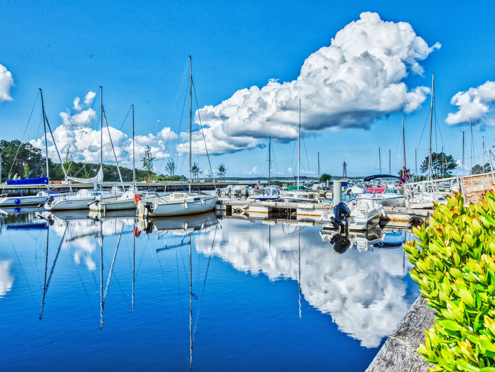 Club de la Voile-Area