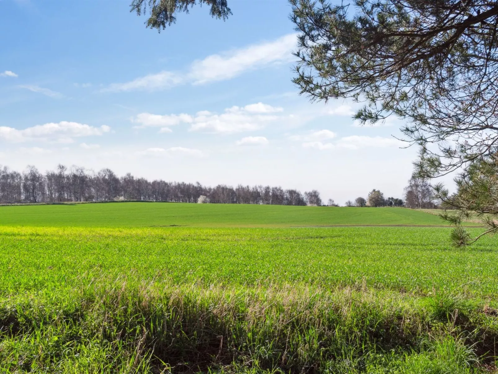 "Vojo" - 1.4km from the sea-Outside