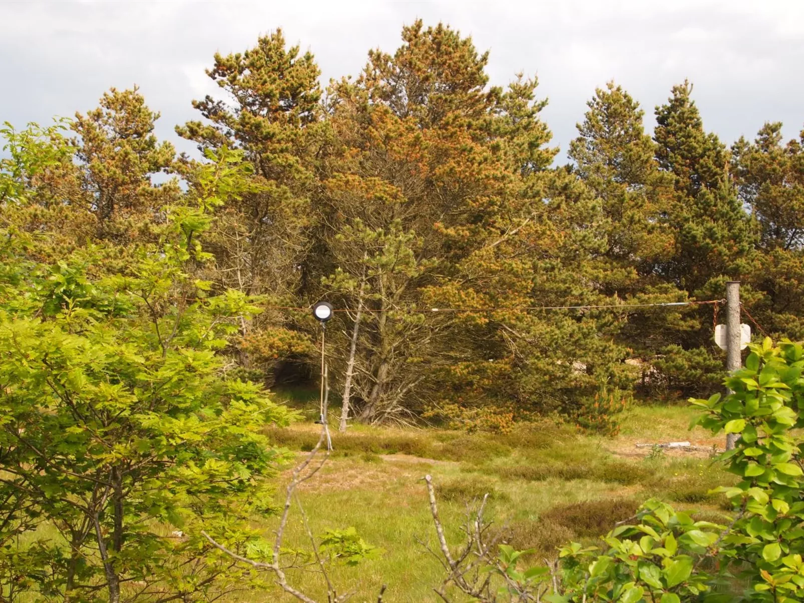 "Wandrath" - 2km from the sea-Outside