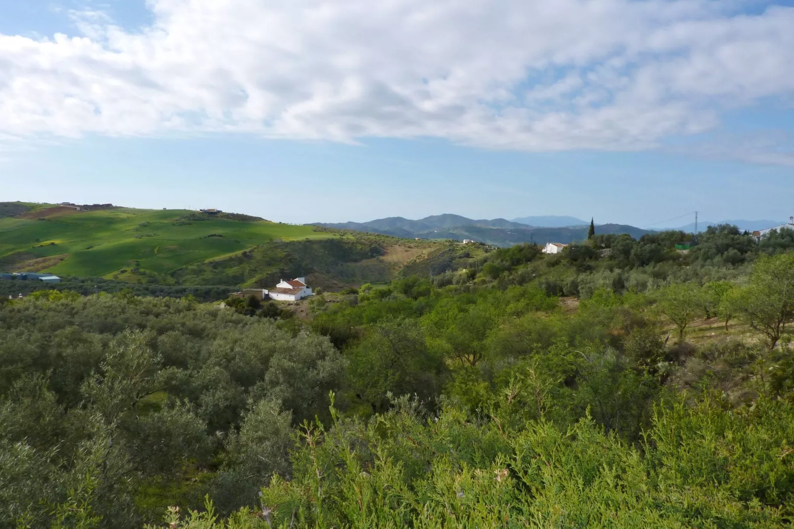 Hoyo del Lino-Aussicht Sommer