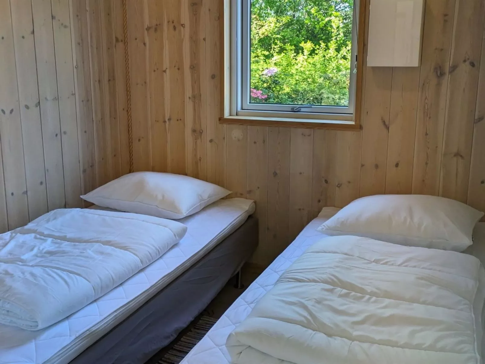 "Sheemen" - 900m from the sea-Outside