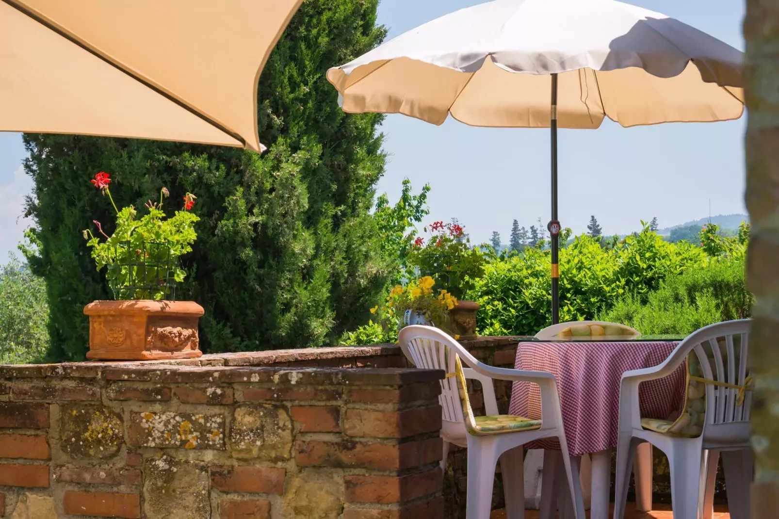 Giada-Gardens summer