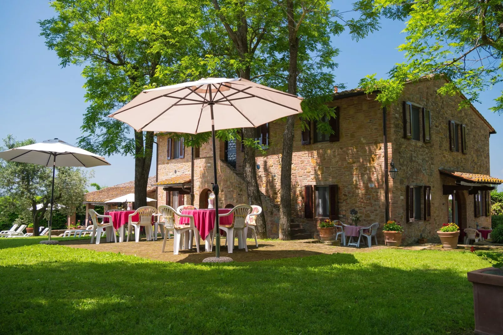 Glicine-Exterior summer