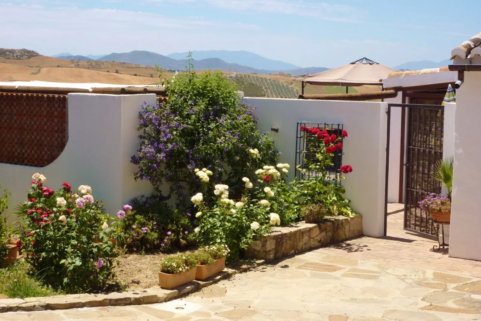 Casa Coqui & Juan Ramón-Gardens summer