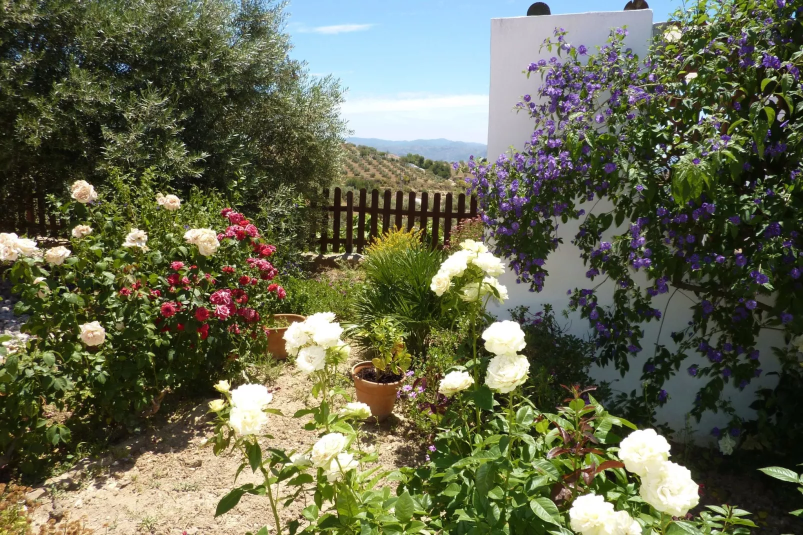 Casa Coqui & Juan Ramón-Gardens summer