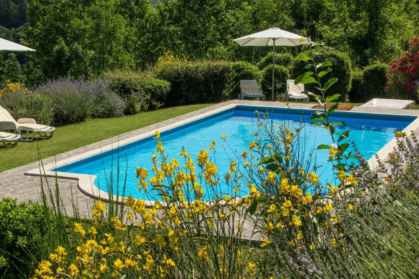 Fattoria 15-Pool