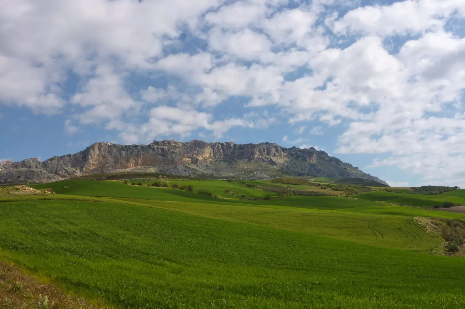 Casa Coqui & Juan Ramón-Areas summer 5km