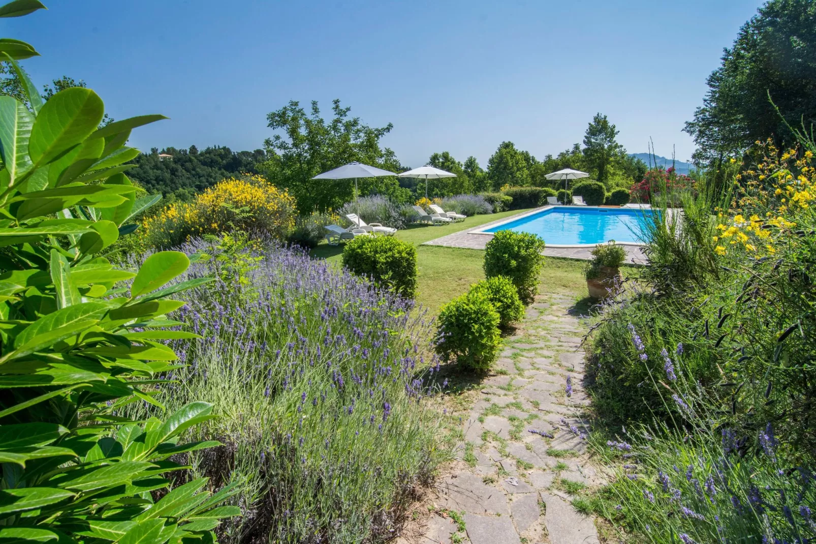 Fattoria 15-Pool