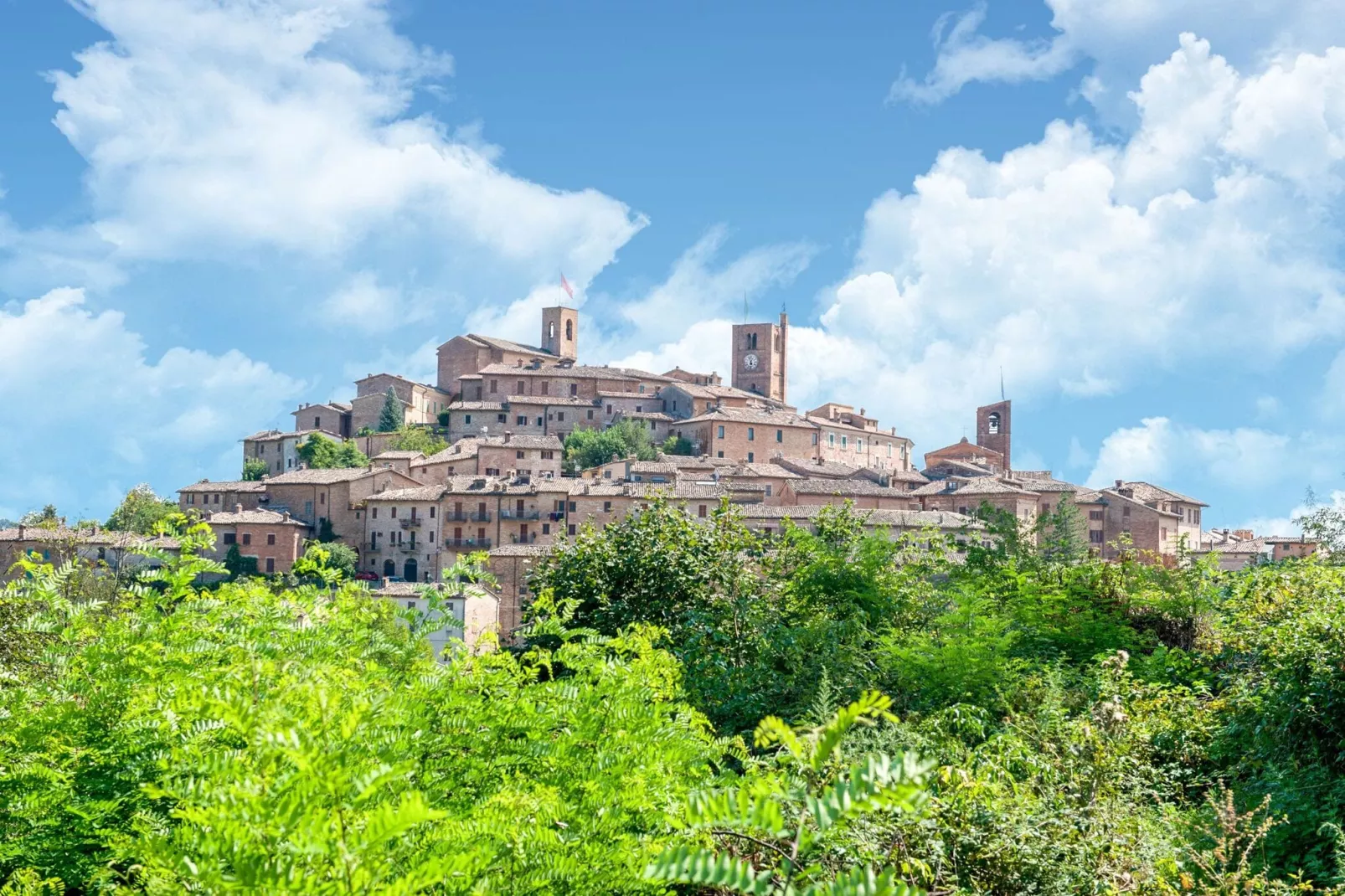 Fattoria 15-Areas summer 5km