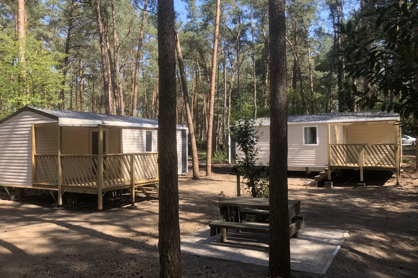 Roodborstje-Exterior summer