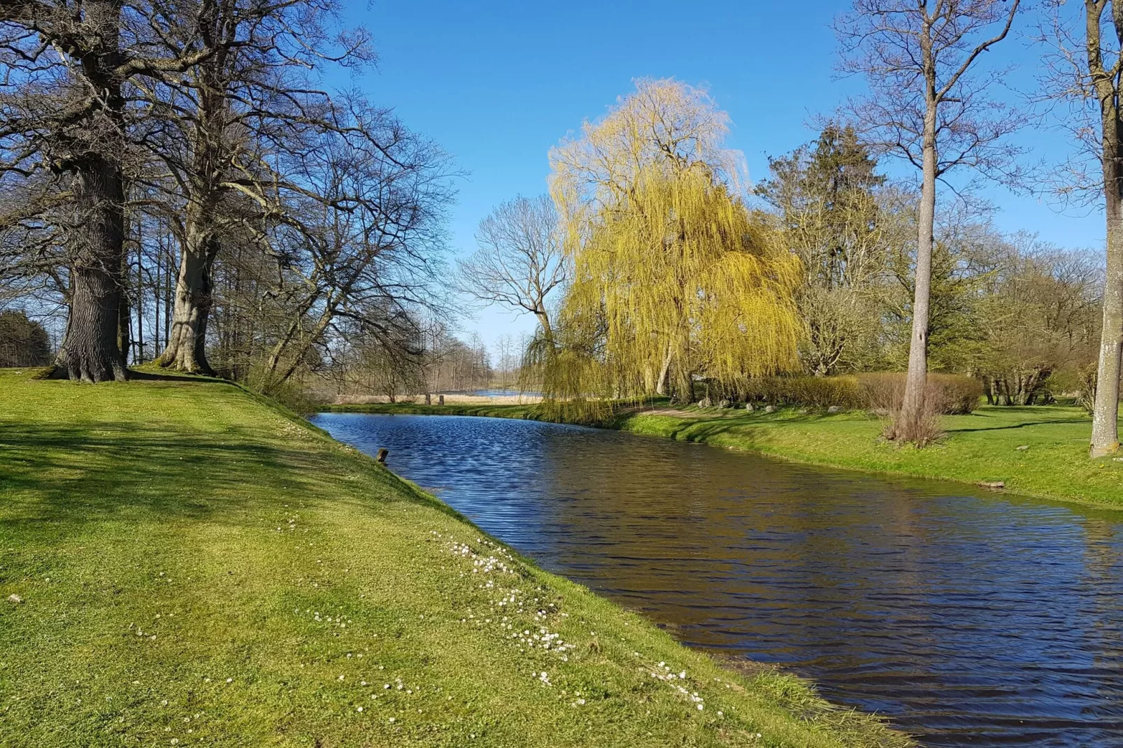 Alte Küche Gerdshagen-Gardens summer