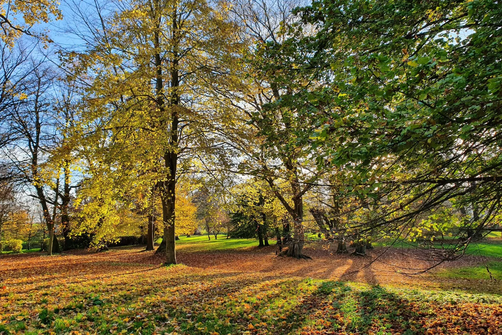 Alte Küche Gerdshagen-Gardens summer