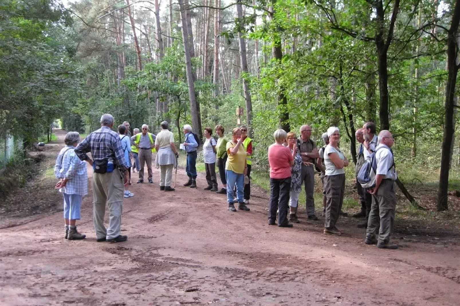 Roodborstje-Areas summer 1km