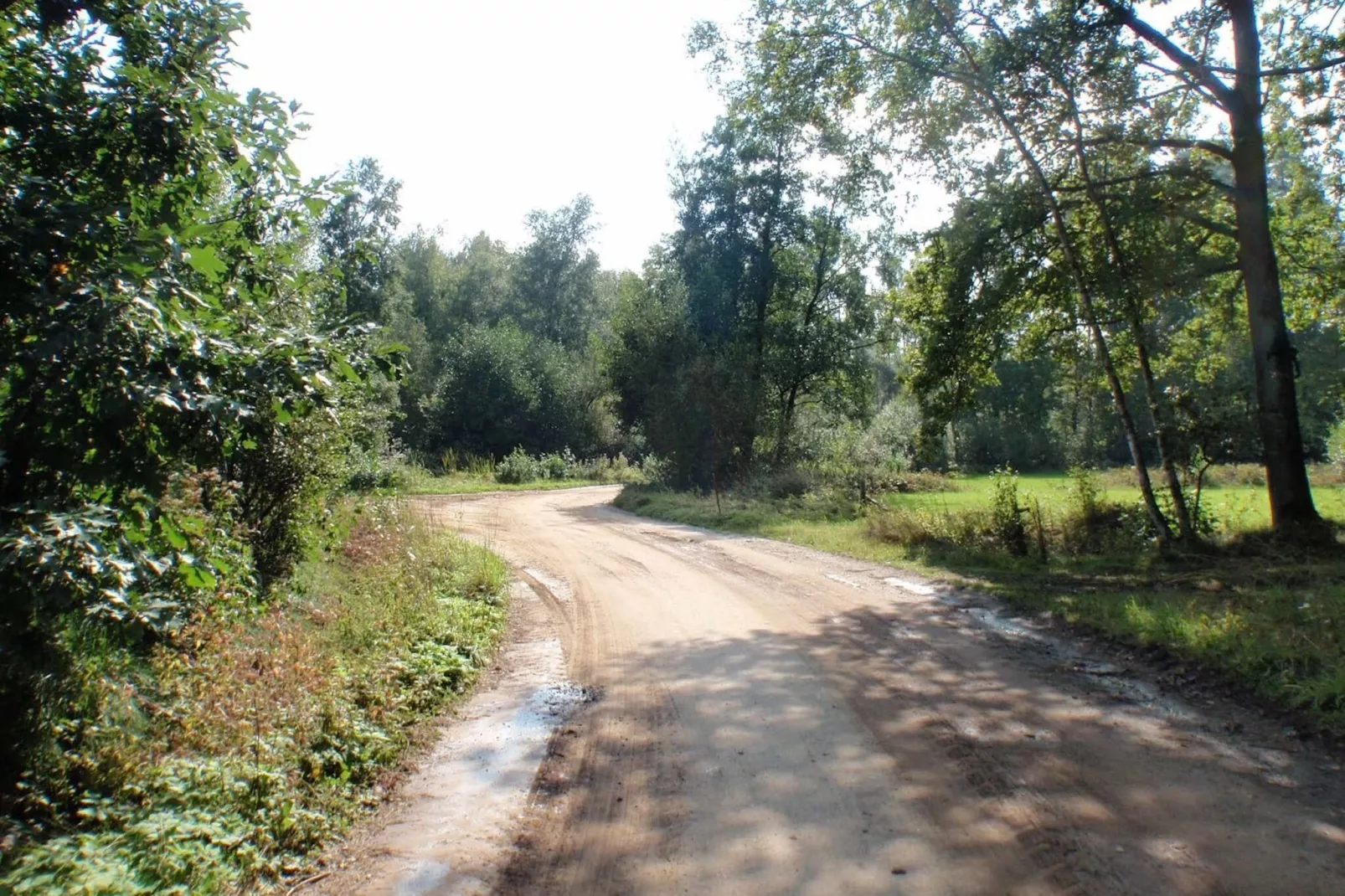 Roodborstje-Areas summer 1km