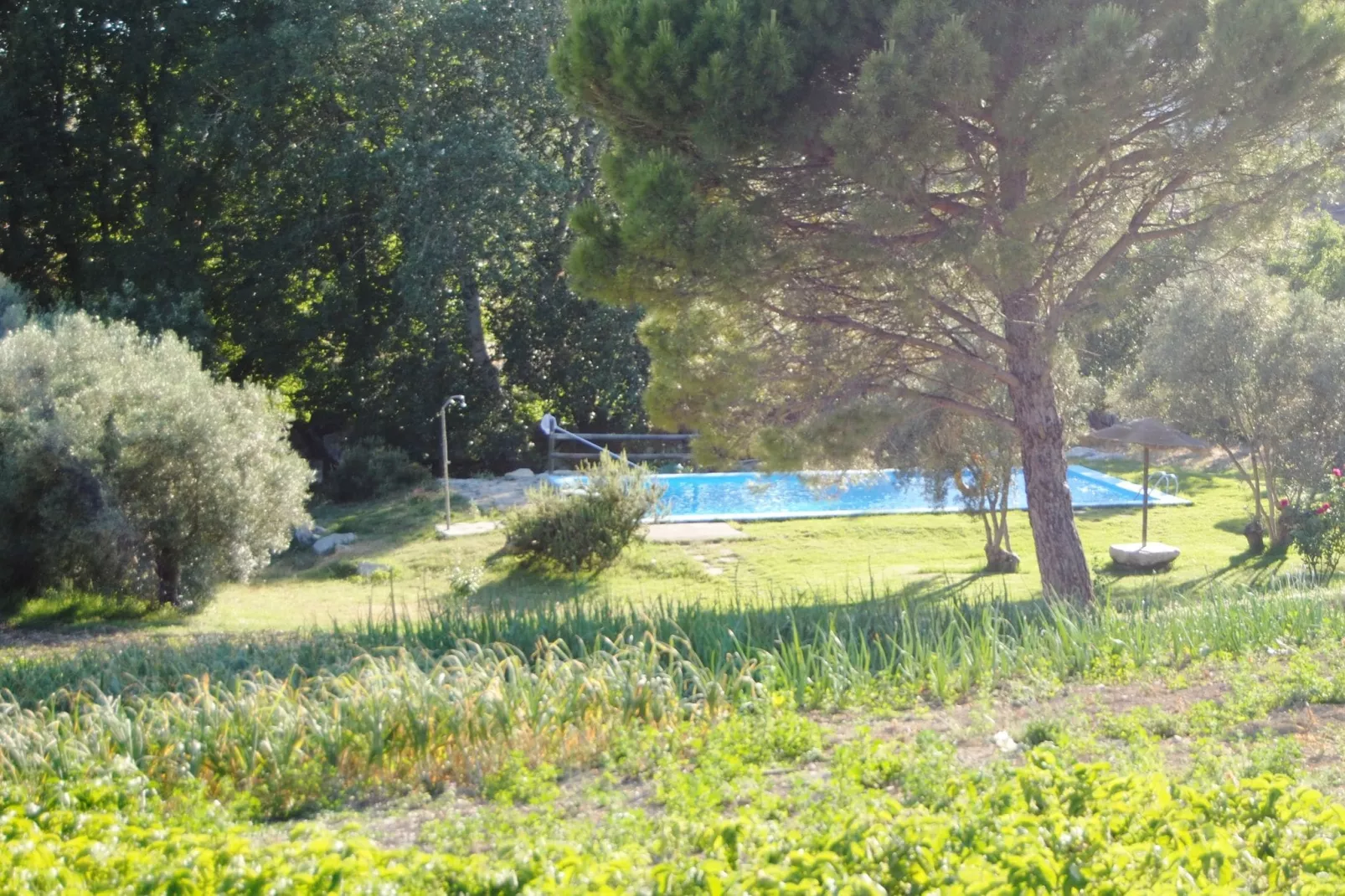Casa de la Monja-Gardens summer