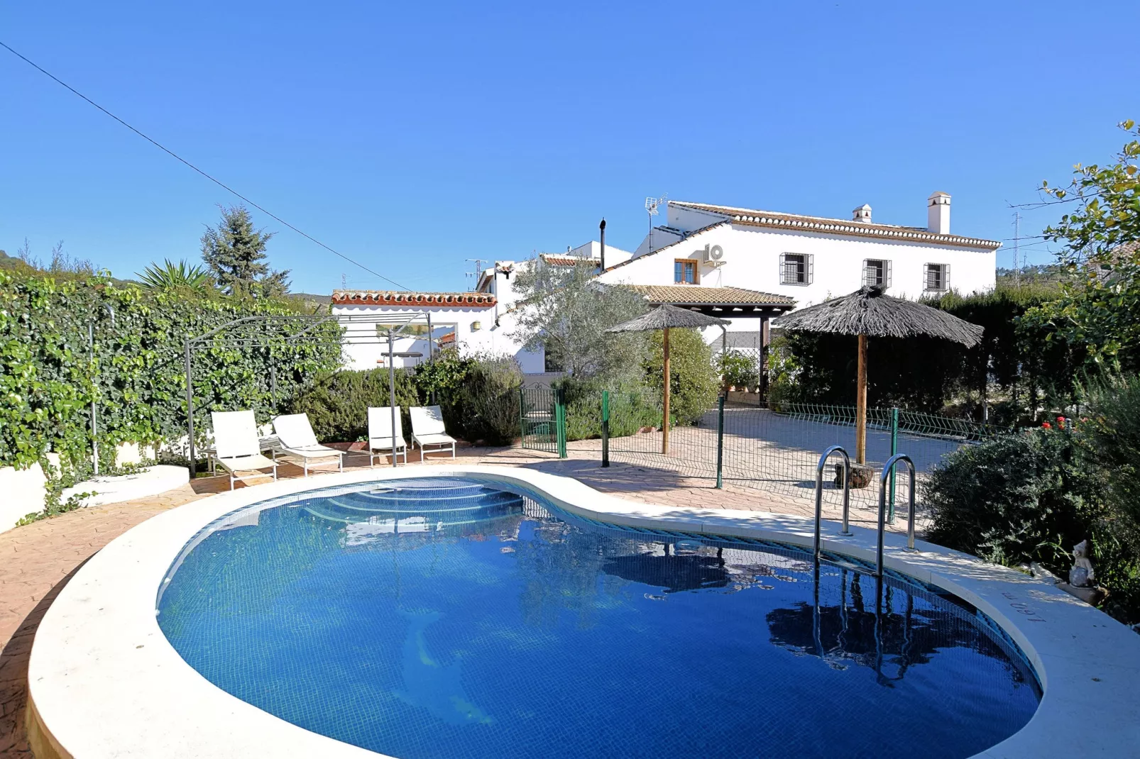 Casa La Palmera-Pool