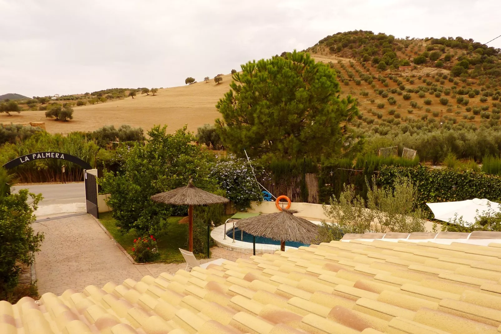 Casa La Palmera-View summer
