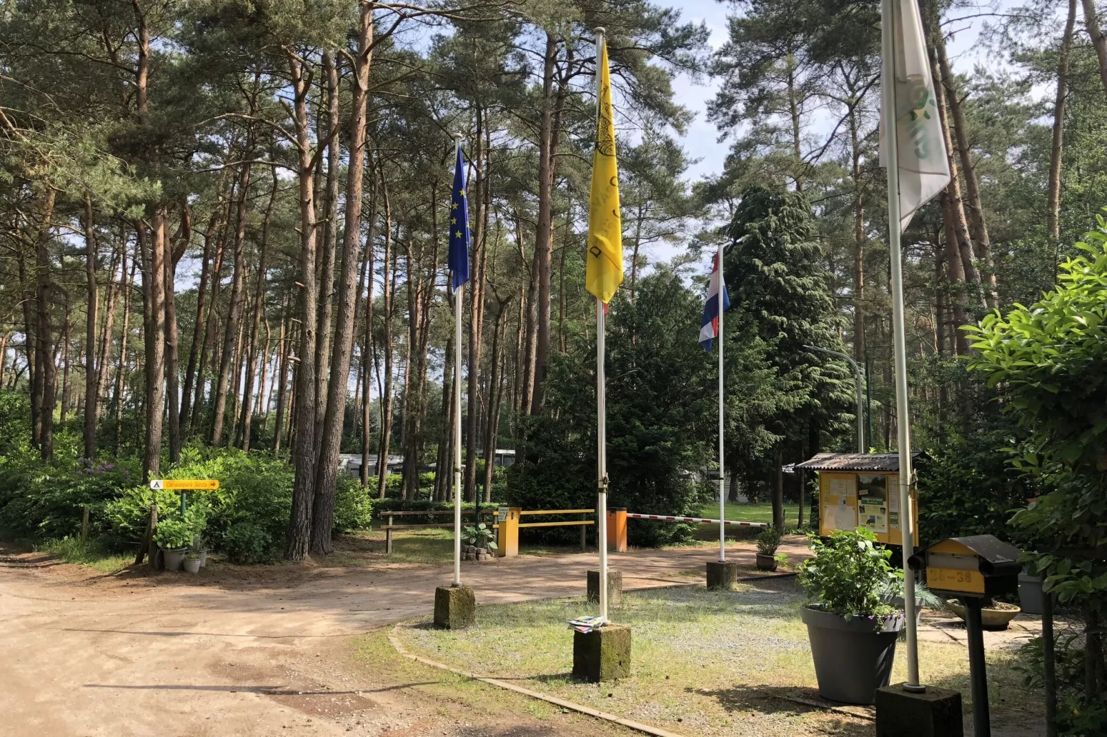 Goudhaantje-Areas summer 1km