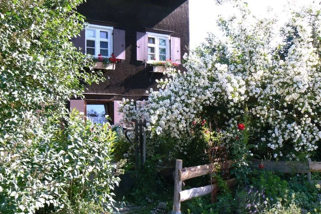 58748-Nicht getaggt