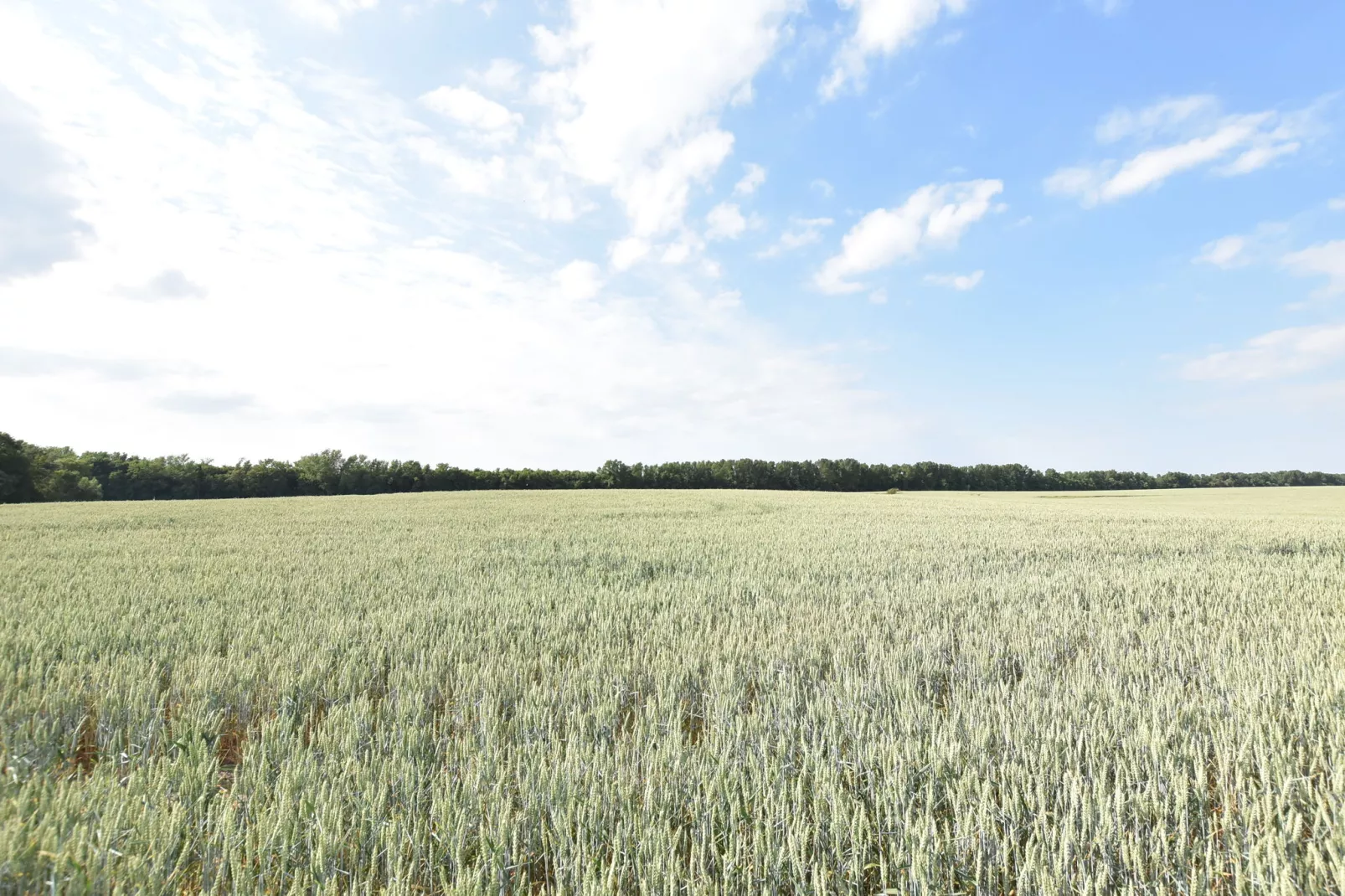 4-Raum-Wohnung Rügen-Zones d'été à 5 km