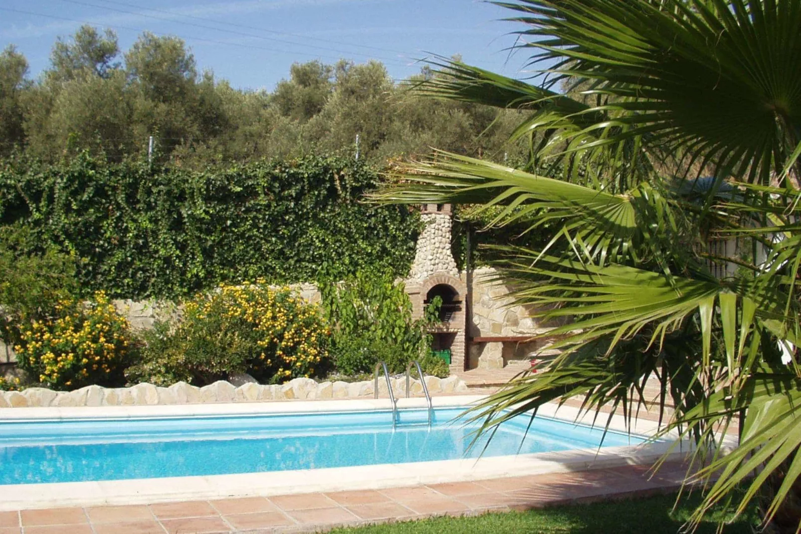 Casa Los Lirios-Pool