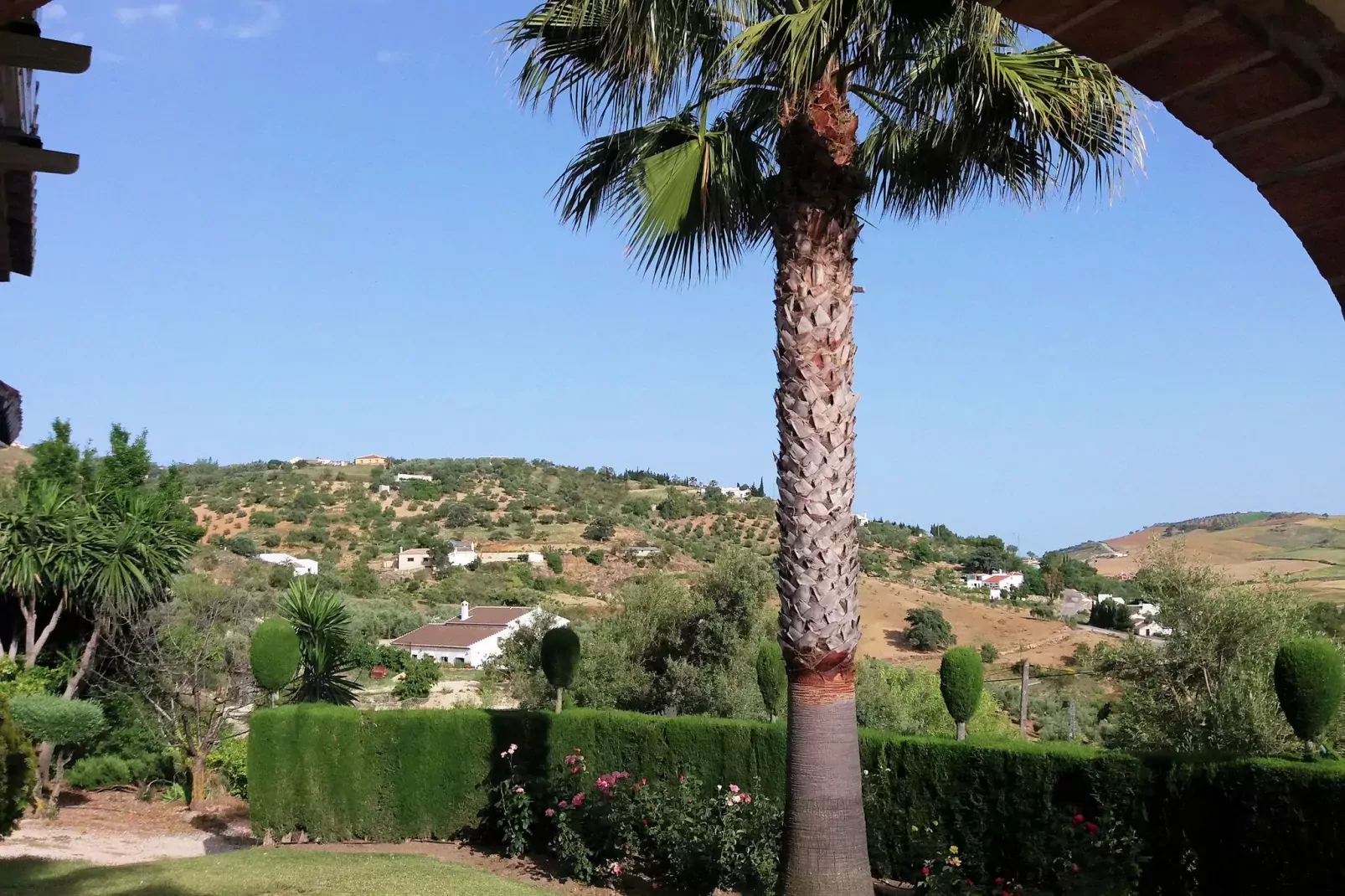 Casa Los Lirios-View summer