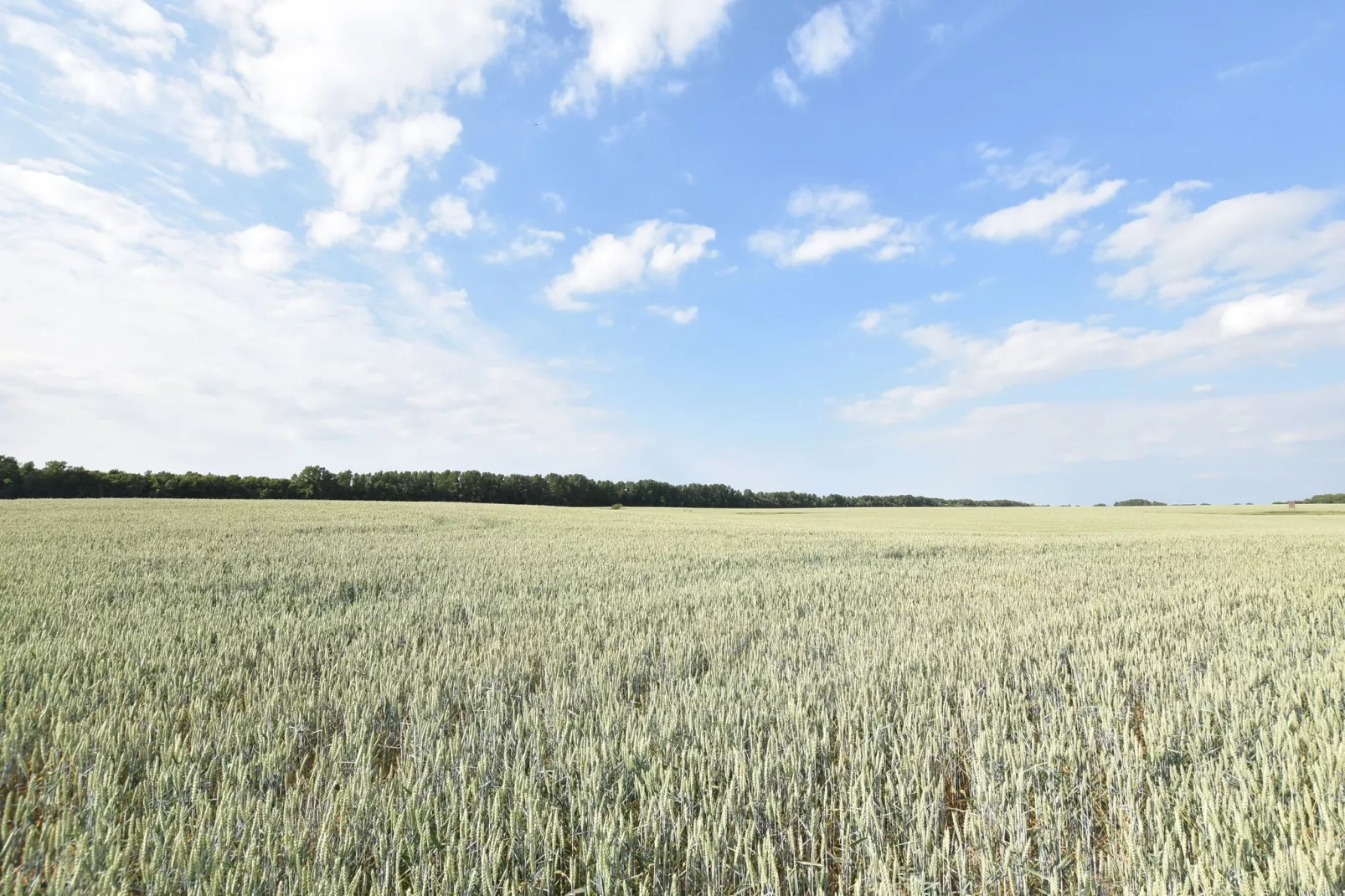 XXL Gruppenhaus mit großem gemütlichem Raum-Areas summer 1km