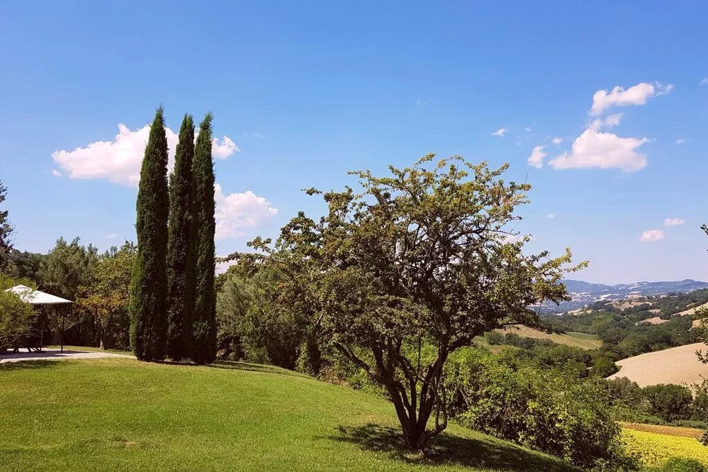 285195-Gardens summer
