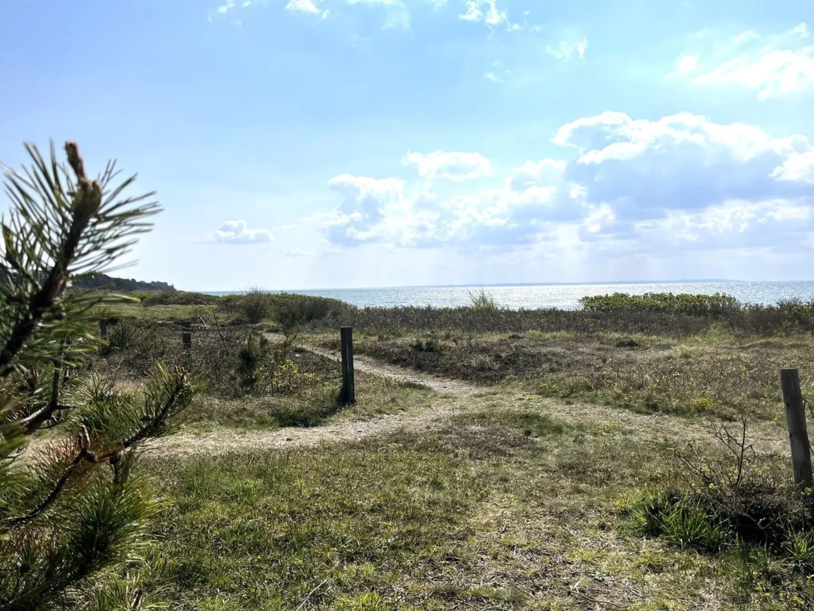 "Michael" - 250m from the sea-Draußen