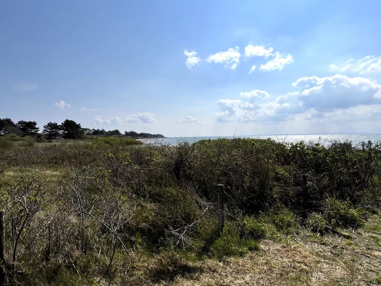 "Michael" - 250m from the sea-Draußen