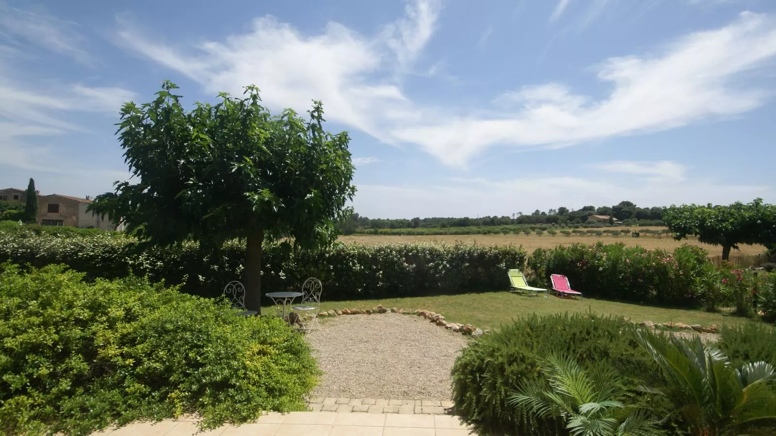 La petite truffe-View summer