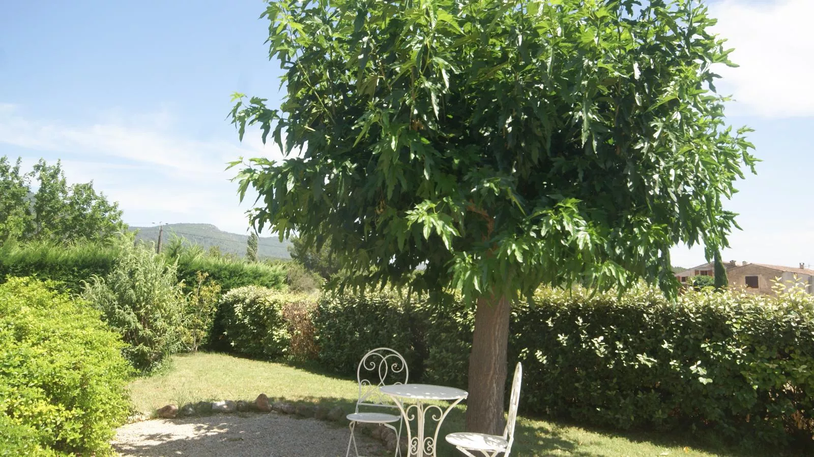 La petite truffe-Gardens summer