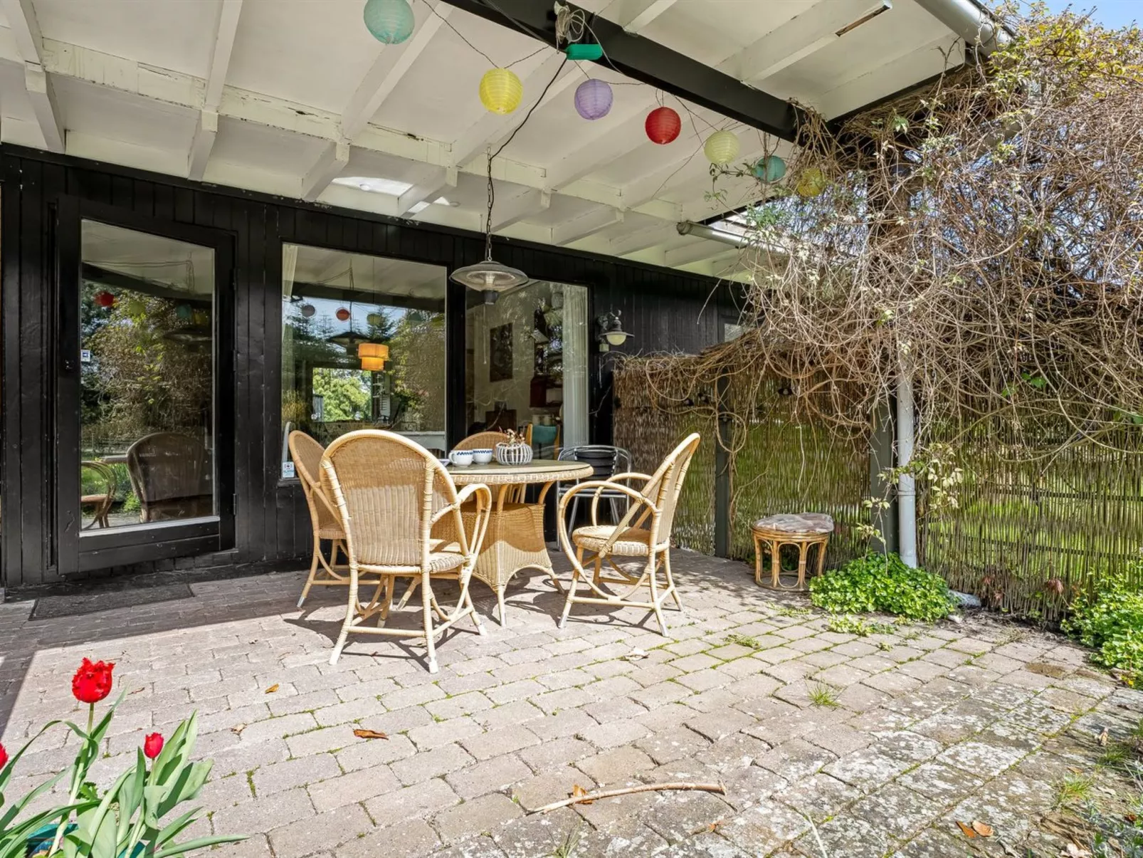 "Elionora" - 900m from the sea-Outside