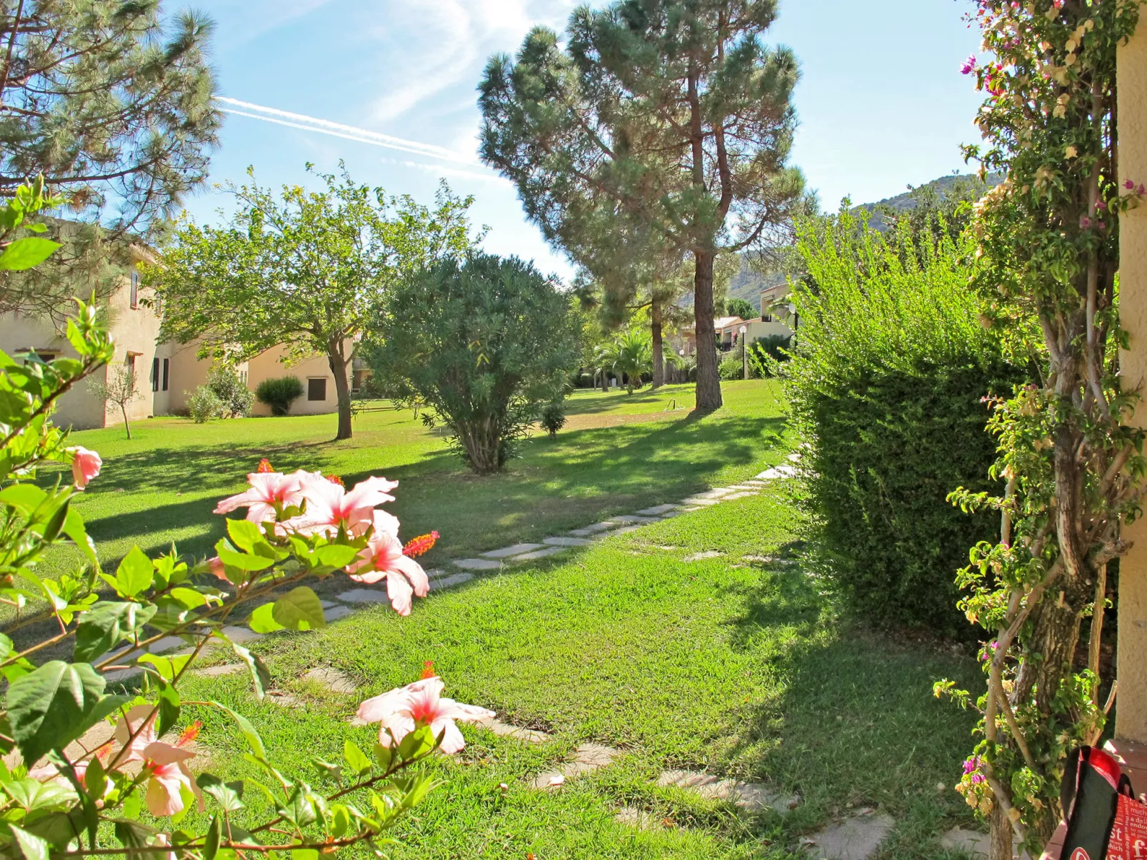 Mediterranea (CNI181)-Outside