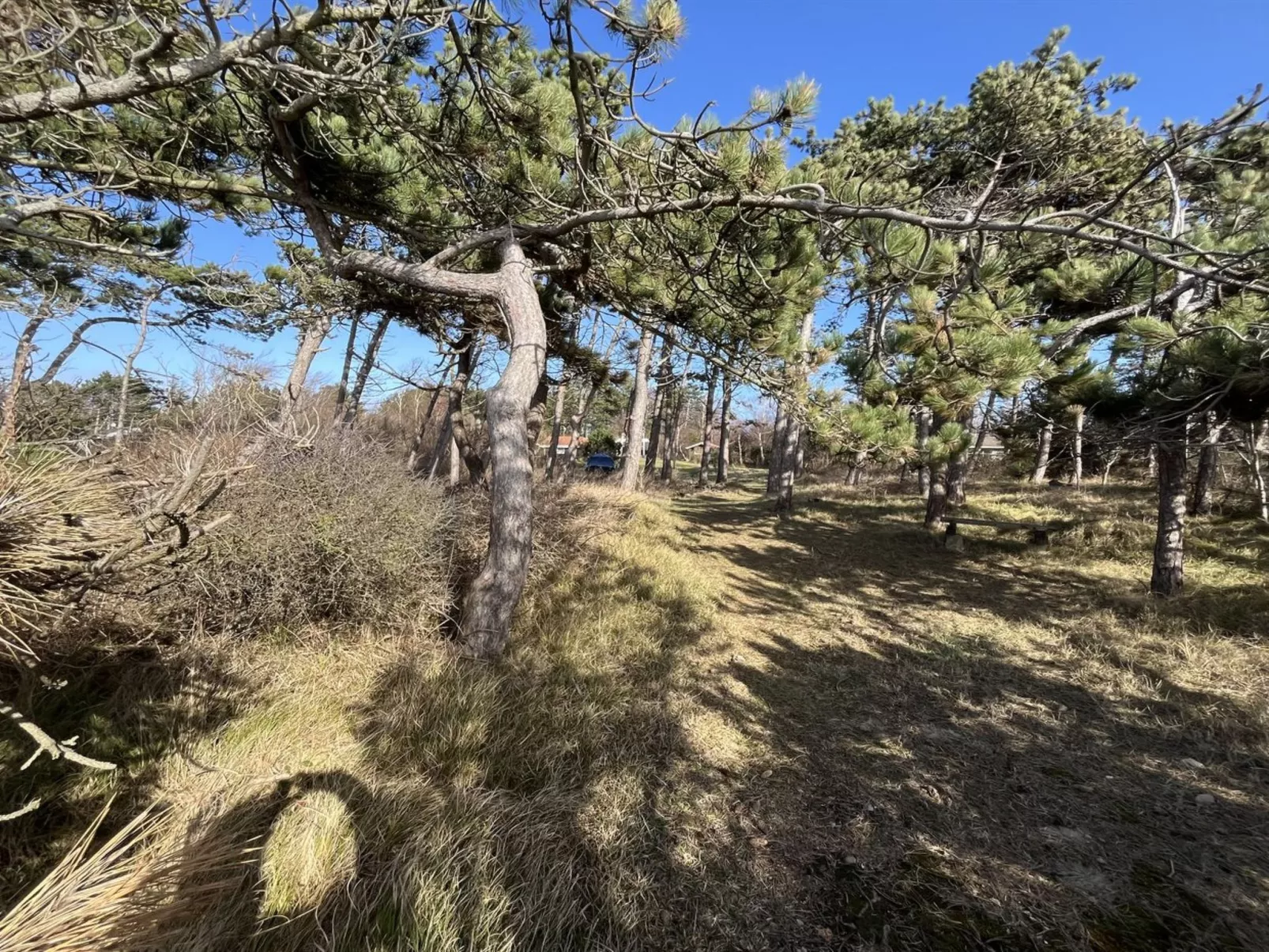 "Aimy" - 50m from the sea-Dehors