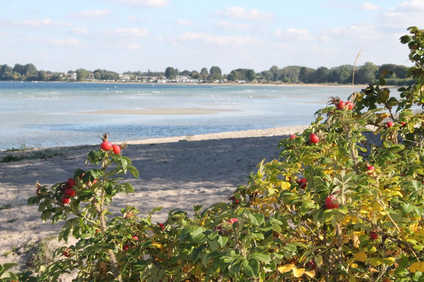 Dat Oole Huus 4-Areas summer 5km