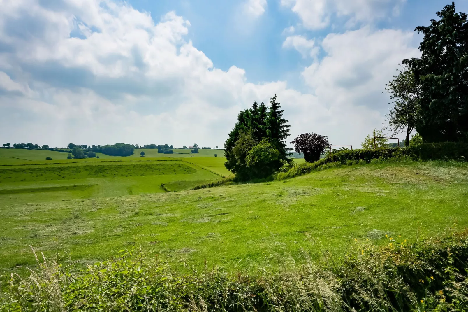 Buitenhuis De Graef-Gebiete Sommer 5 km