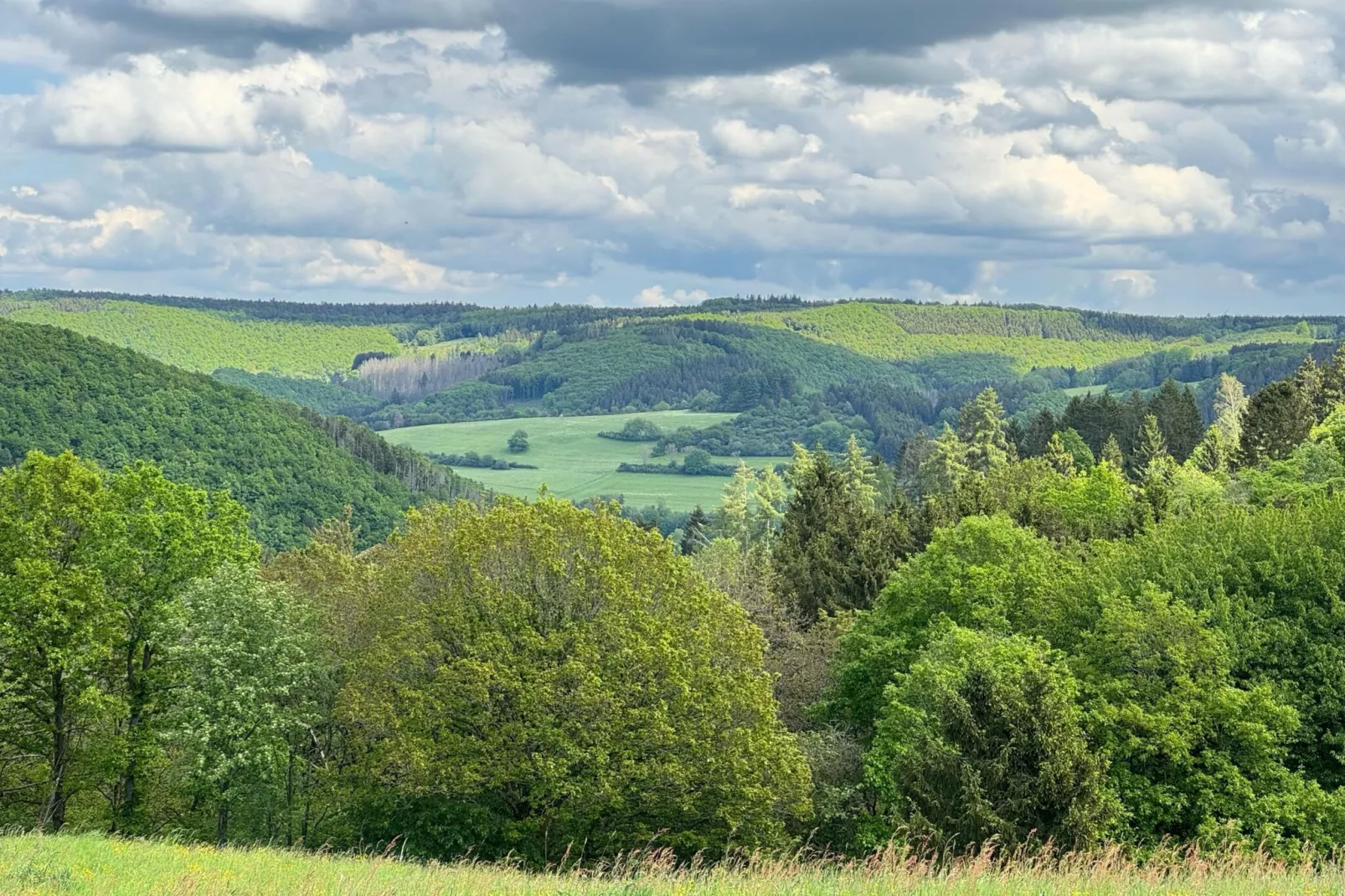 Groepshuis Eifel-Areas summer 5km