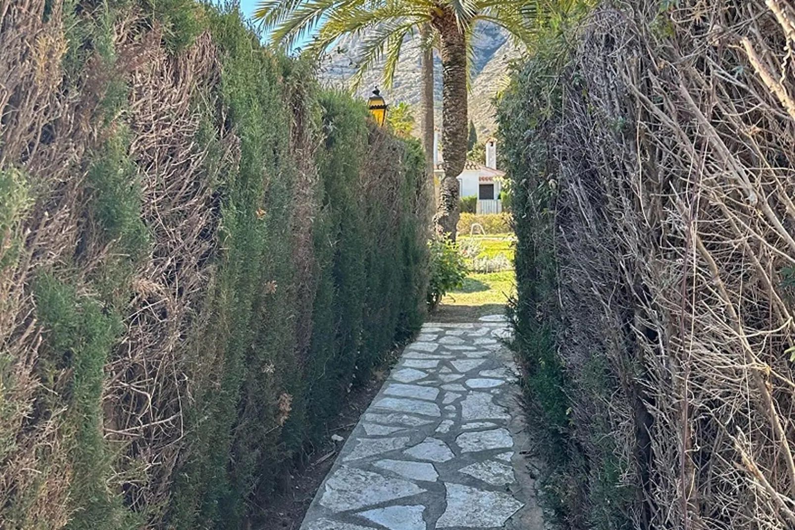 Mar y Montaña-Gardens summer