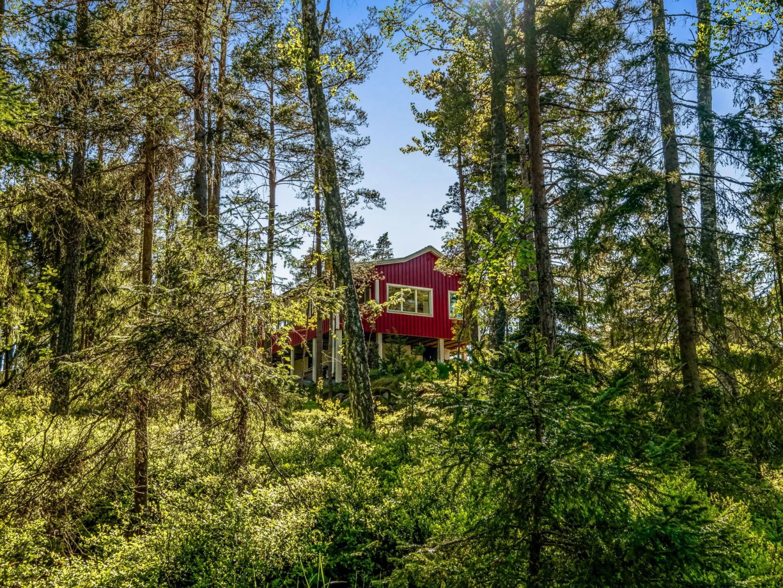 Smultronstället-Outside
