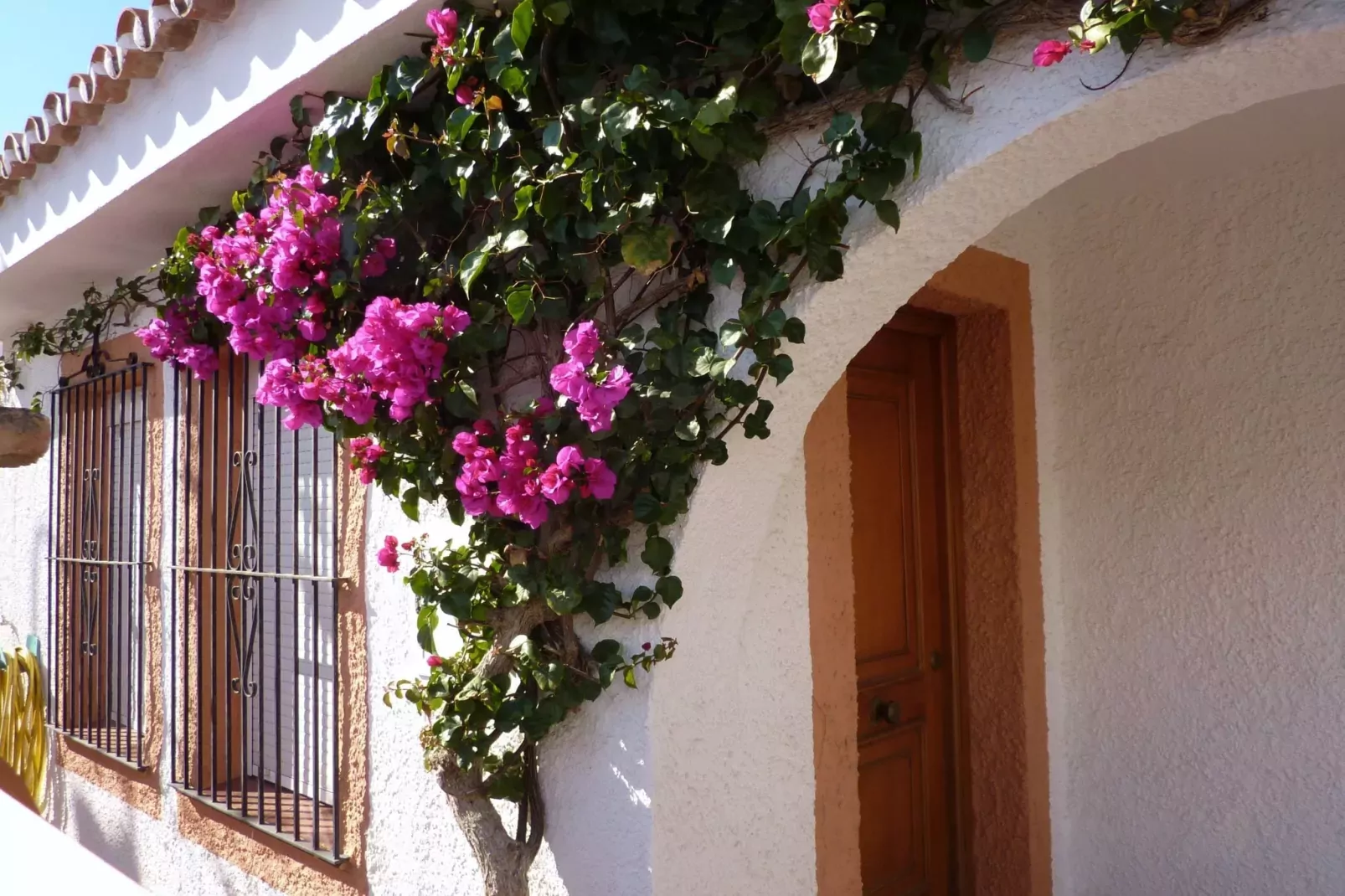 Casa Estoril-Exterior summer