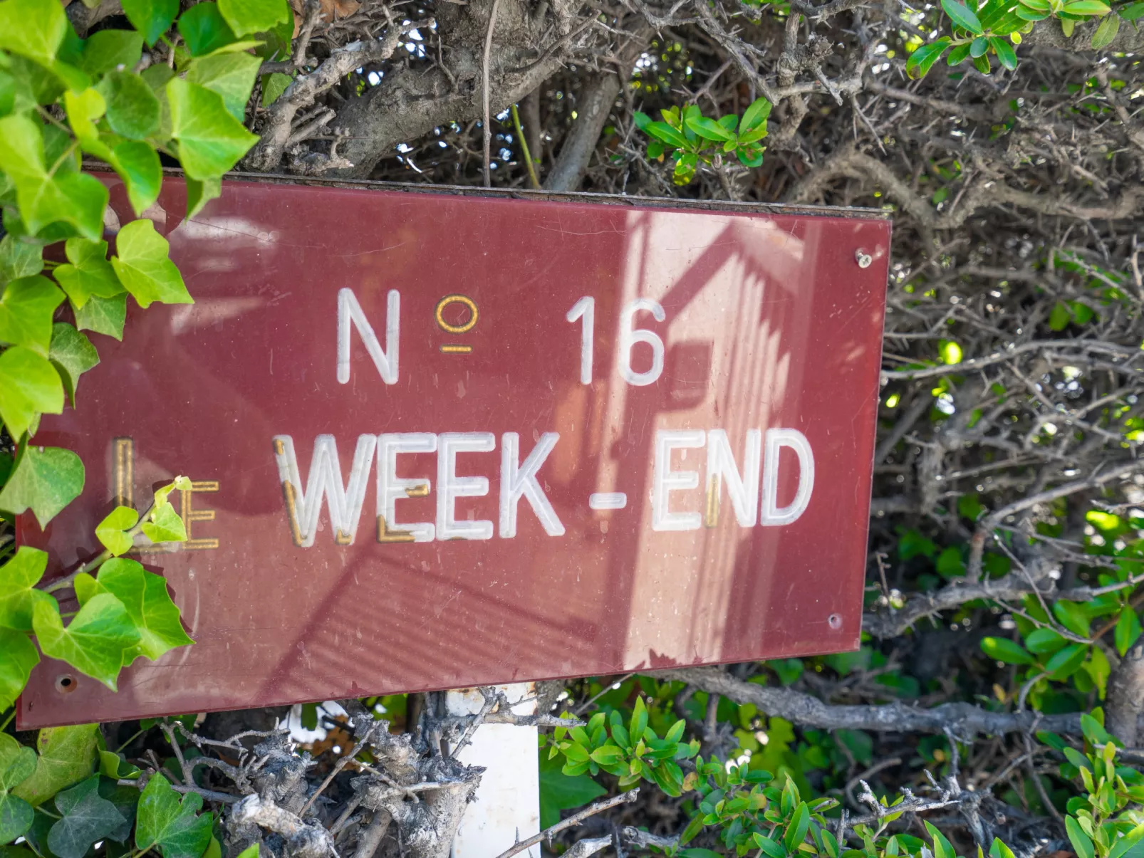 Le Weekend-Inside